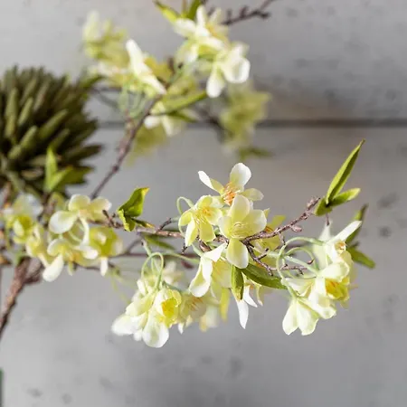 Park - Old Town Daire *