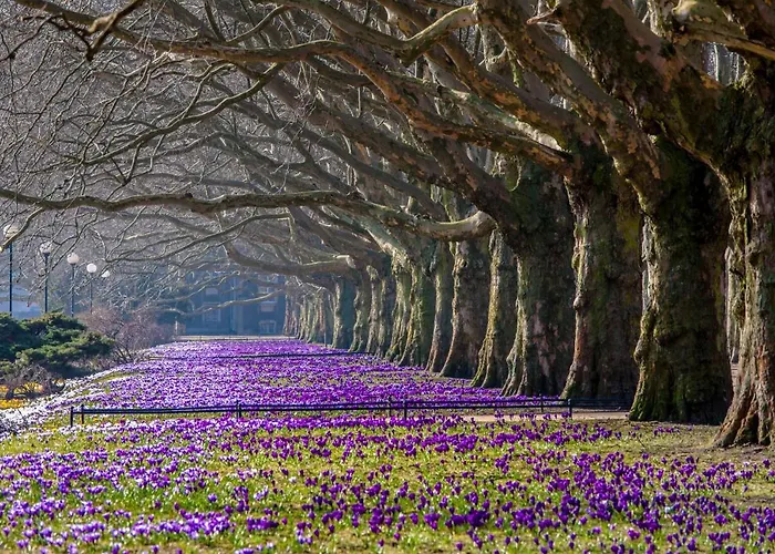 Park - Old Town * Щецин